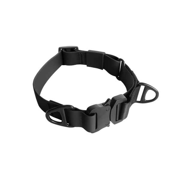 LAMBWOLF AVA MARTINGALE // Quick-release metal buckle collar