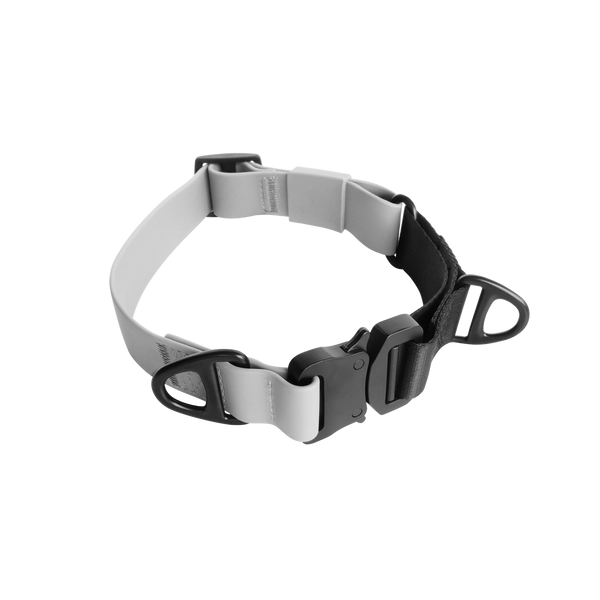 LAMBWOLF AVA MARTINGALE // Quick-release metal buckle collar