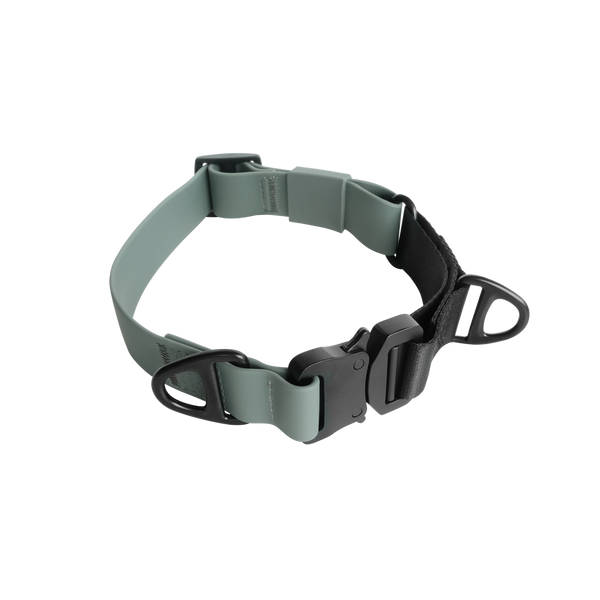 LAMBWOLF AVA MARTINGALE // Quick-release metal buckle collar
