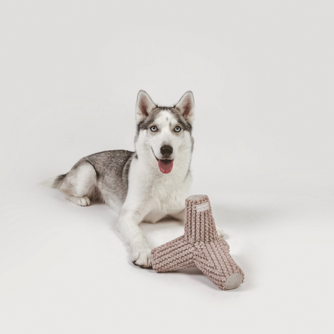 BREUER // squeakers + crinkle cluster soft tetrapod