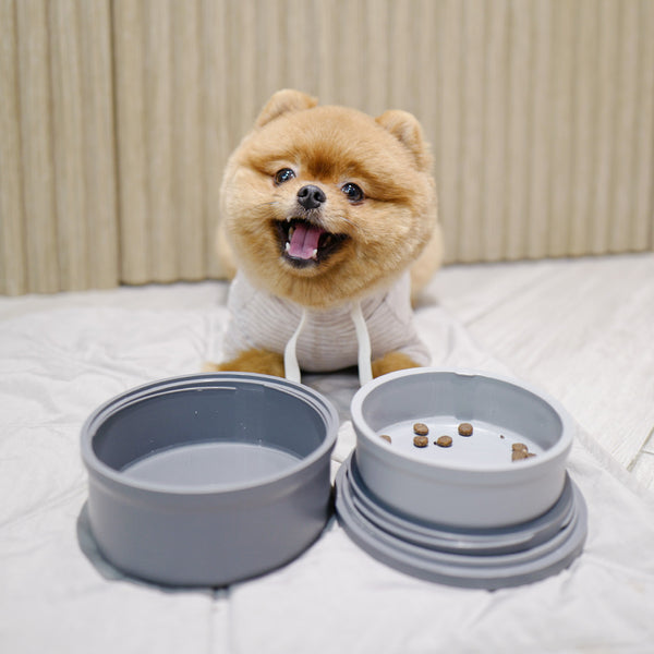 PORTABOWLS | PORTABLE TRAVEL & HOME BOWL SET | Gray