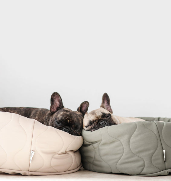 LAMBWOLF TAART // reversible donut bed