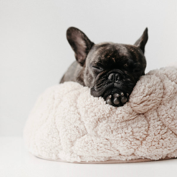 LAMBWOLF TAART // reversible donut bed