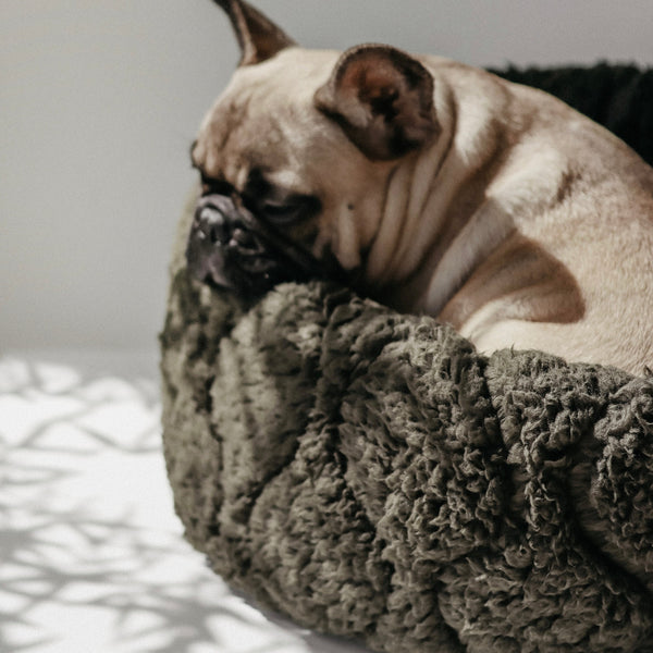 LAMBWOLF TAART // reversible donut bed