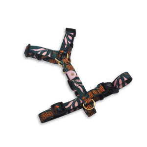 Gentle Pup Mazi Harness - Coco Congo