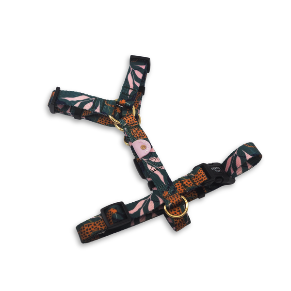 Gentle Pup Mazi Harness - Coco Congo