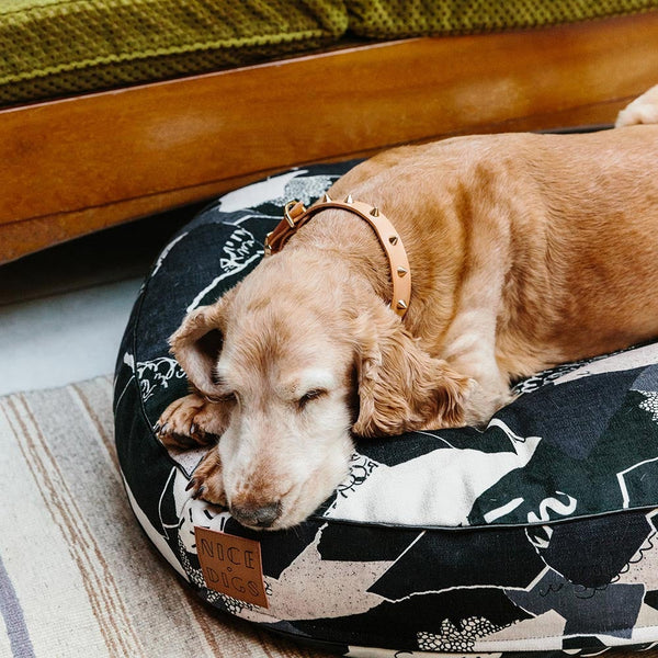 Smooth Spike Leather Collar and Leash set - Gold Tan