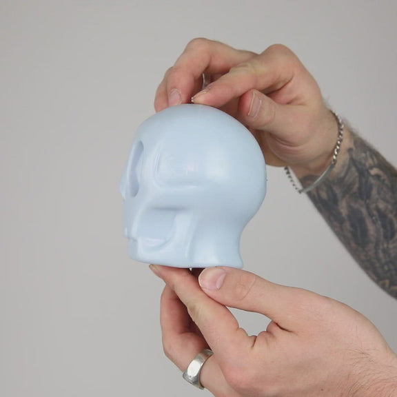 Skully Squeaky Dog Toy