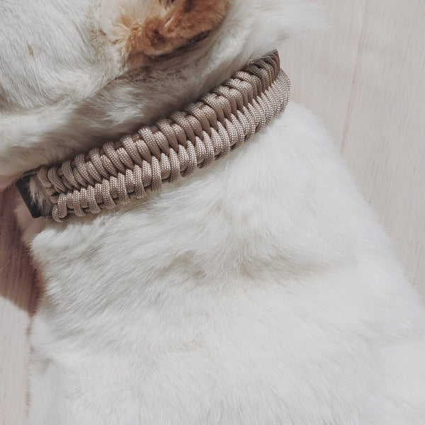 fossil-paracord-collar