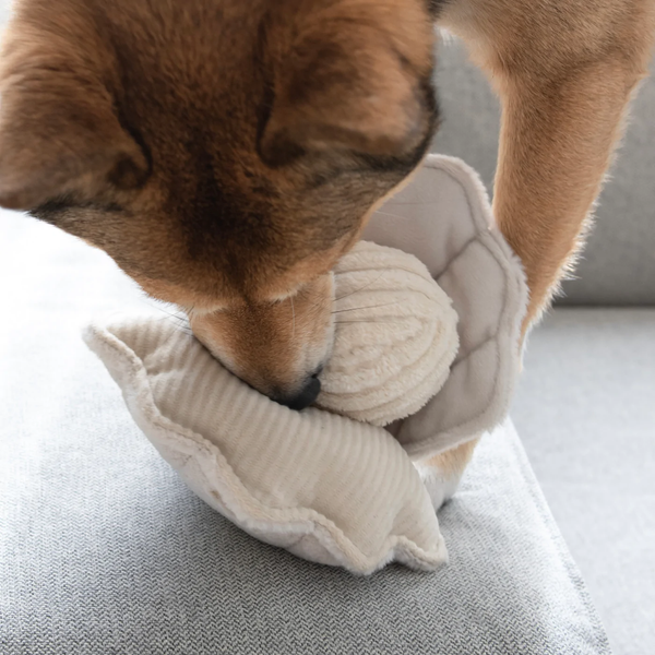 OYSTER POP // Bouncy + Squeaky + Crinkly