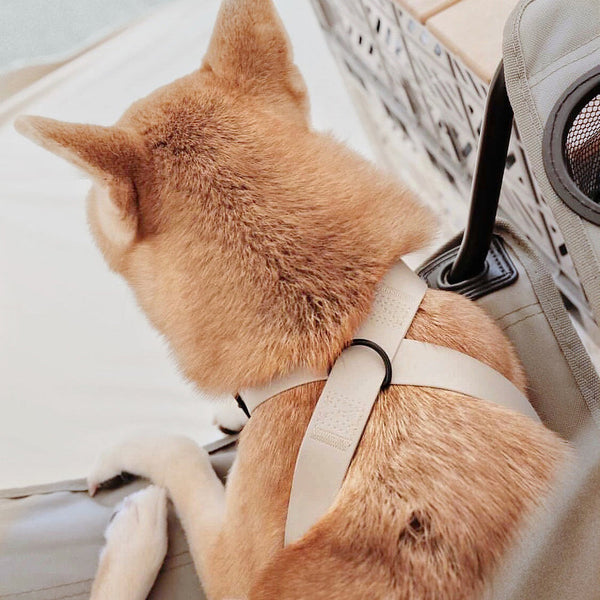 LAMBWOLF OTTO figure 8 waterproof harness