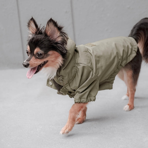 BROOKLYN // Light + Packable