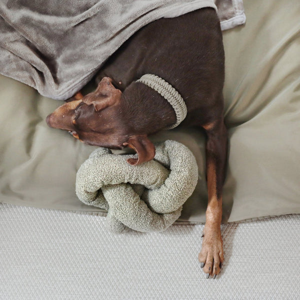 O NOU // oversized play object