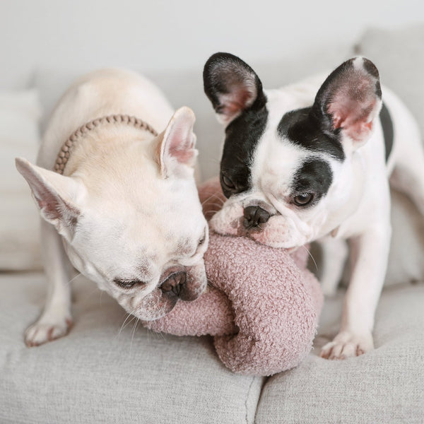 O NOU // oversized play object