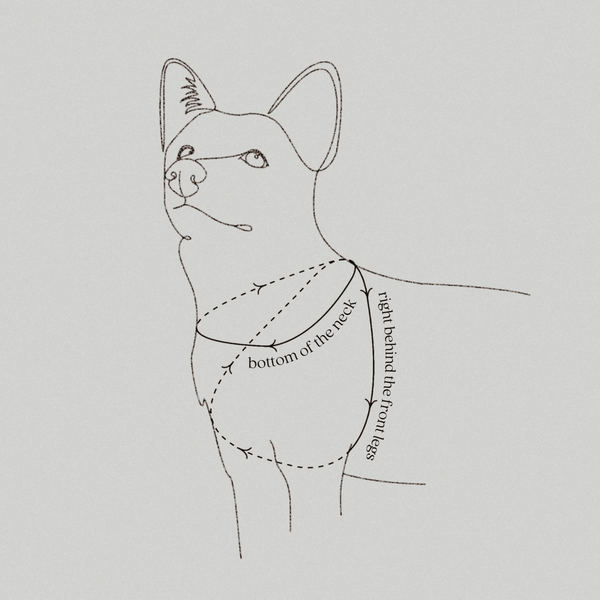 LAMBWOLF OTTO figure 8 waterproof harness
