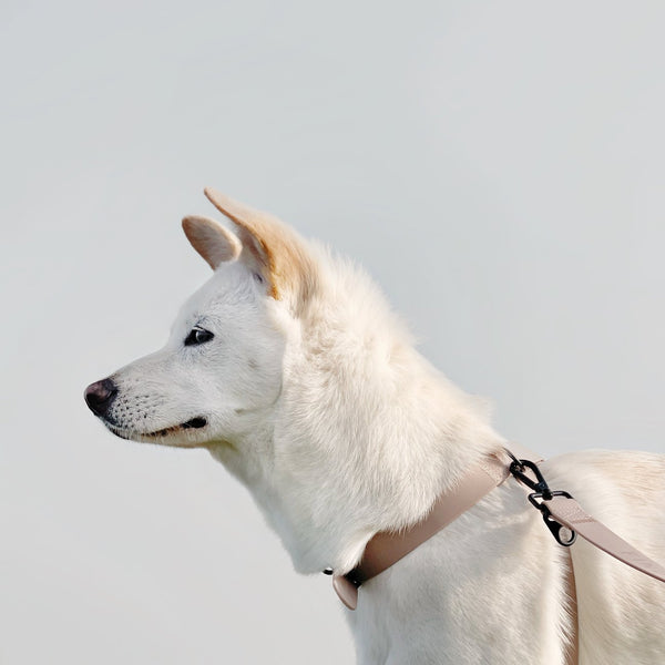 LAMBWOLF OTTO figure 8 waterproof harness